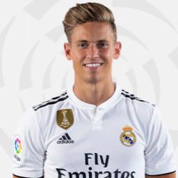 M. Llorente